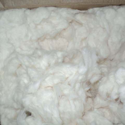 Cotton comber noil